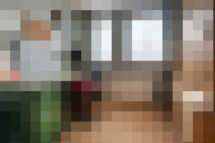 Botter 38 38 62 Lelystad thumbnail 20