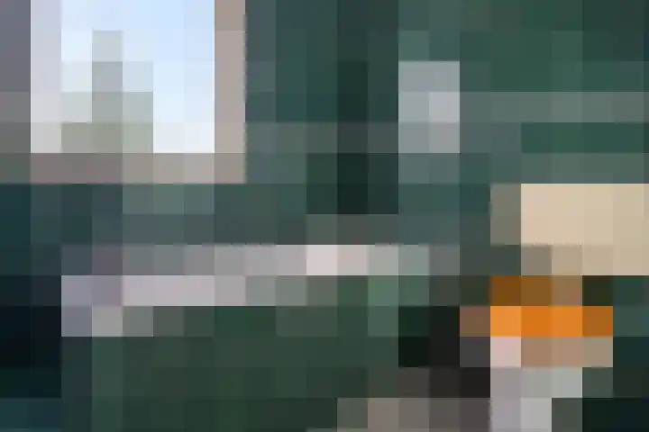 Botter 38 38 62 Lelystad thumbnail 23