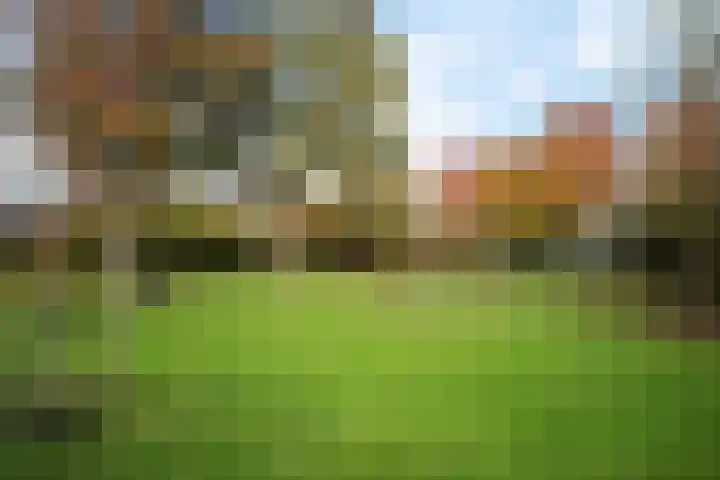 Botter 38 38 62 Lelystad thumbnail 28