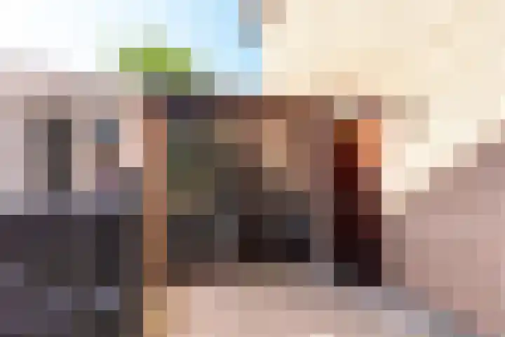 Botter 38 38 70 Lelystad thumbnail 12