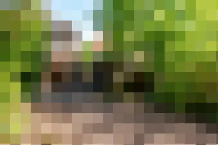 Botter 38 38 70 Lelystad thumbnail 37
