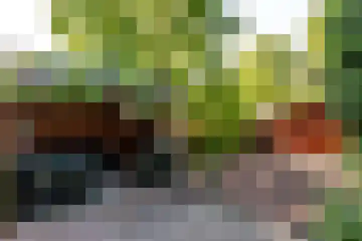 Botter 38 38 70 Lelystad thumbnail 38