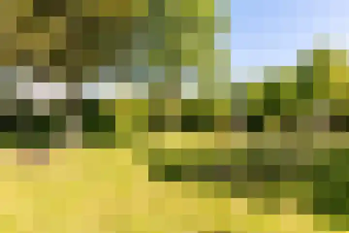 Botter 38 38 70 Lelystad thumbnail 41