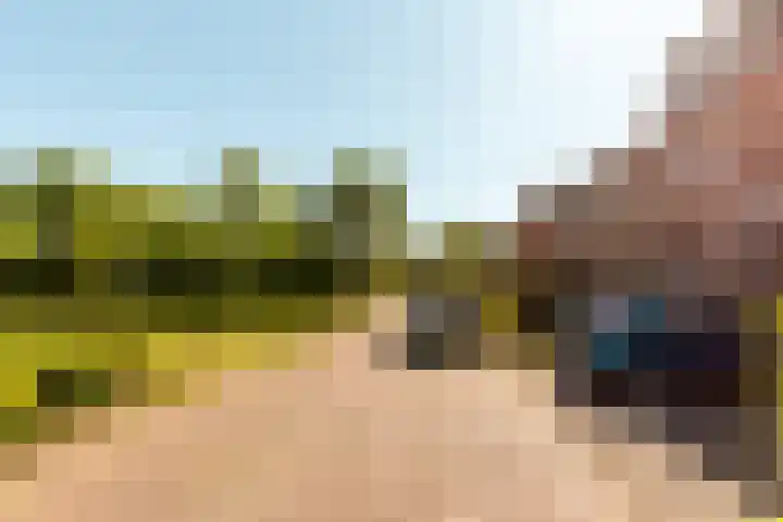 Botter 38 38 70 Lelystad thumbnail 42