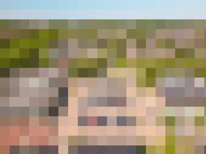 Botter 38 38 70 Lelystad thumbnail 43