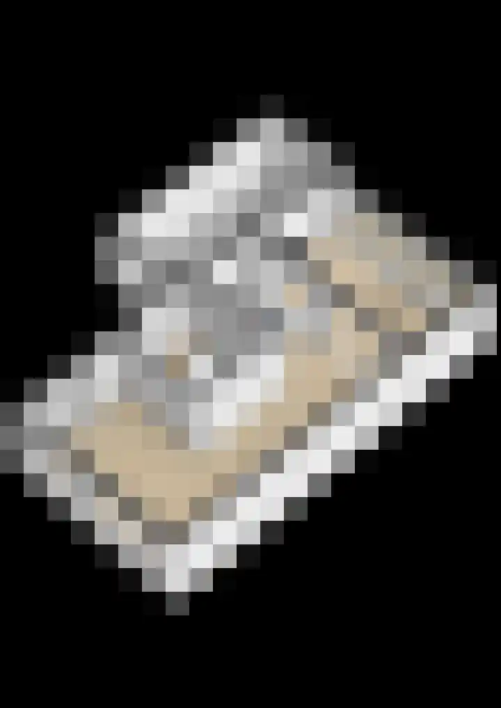 Botter 38 38 70 Lelystad thumbnail 48