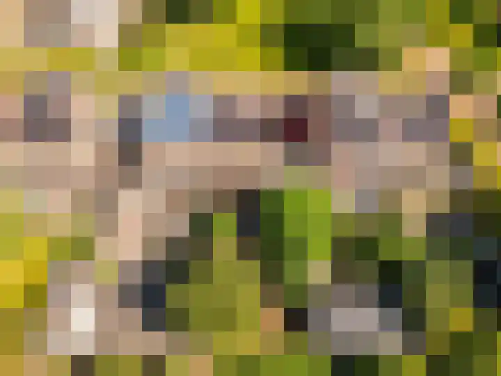 Botter 38 38 70 Lelystad thumbnail 5