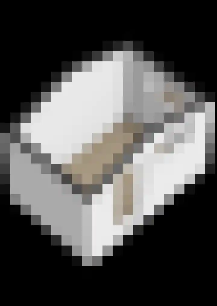 Botter 38 38 70 Lelystad thumbnail 51