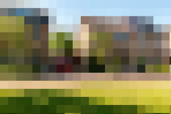 Botter 38 38 70 Lelystad thumbnail 9