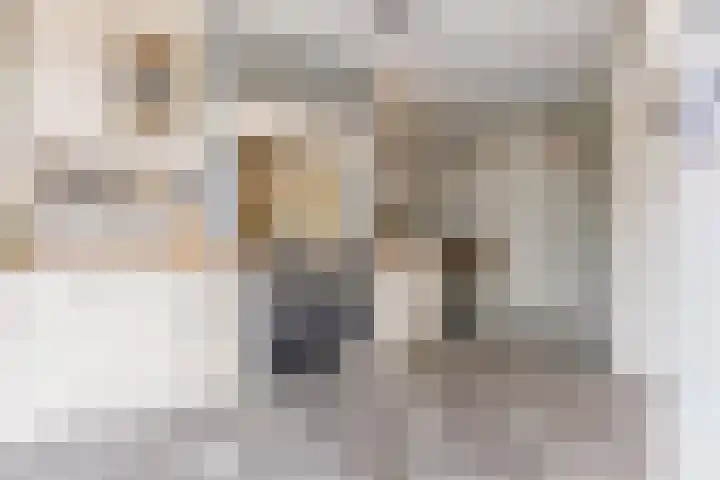 Botter 40 40 60 Lelystad thumbnail 15