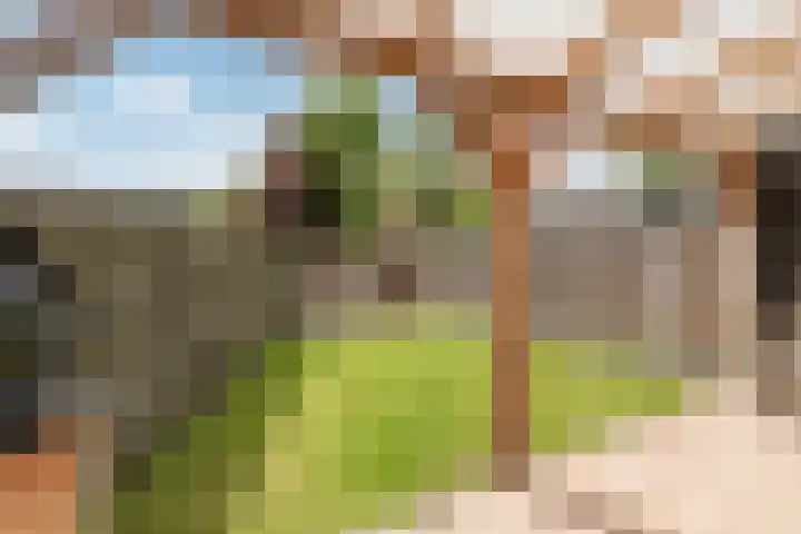 Botter 40 40 60 Lelystad thumbnail 31