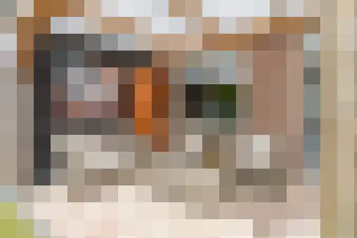 Botter 40 40 60 Lelystad thumbnail 34