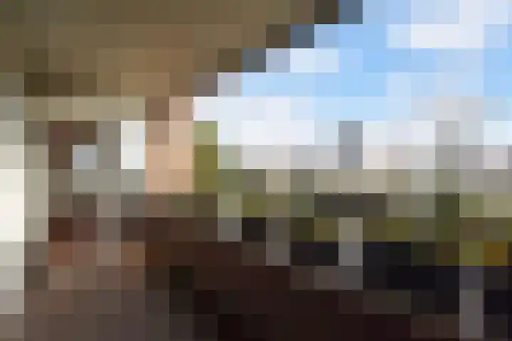 Botter 40 40 60 Lelystad thumbnail 35