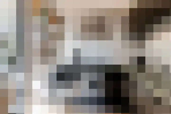 Botter 41 41 29 Lelystad thumbnail 12