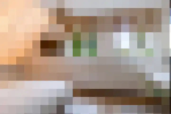 Botter 41 41 29 Lelystad thumbnail 20