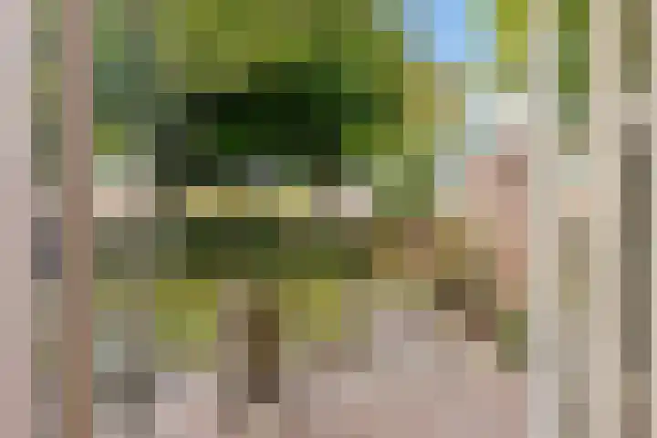 Botter 41 41 29 Lelystad thumbnail 31