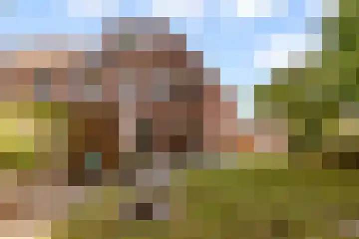 Botter 41 41 29 Lelystad thumbnail 32
