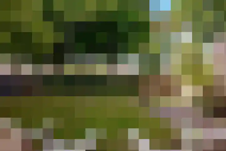 Botter 41 41 29 Lelystad thumbnail 33