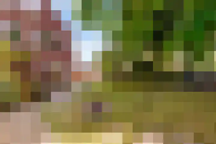 Botter 41 41 29 Lelystad thumbnail 36