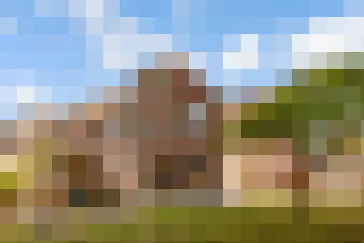 Botter 41 41 29 Lelystad thumbnail 44