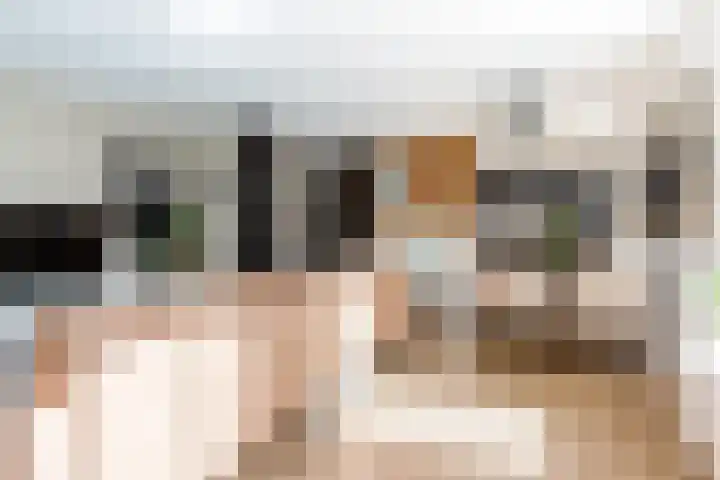 Botter 41 41 29 Lelystad thumbnail 6