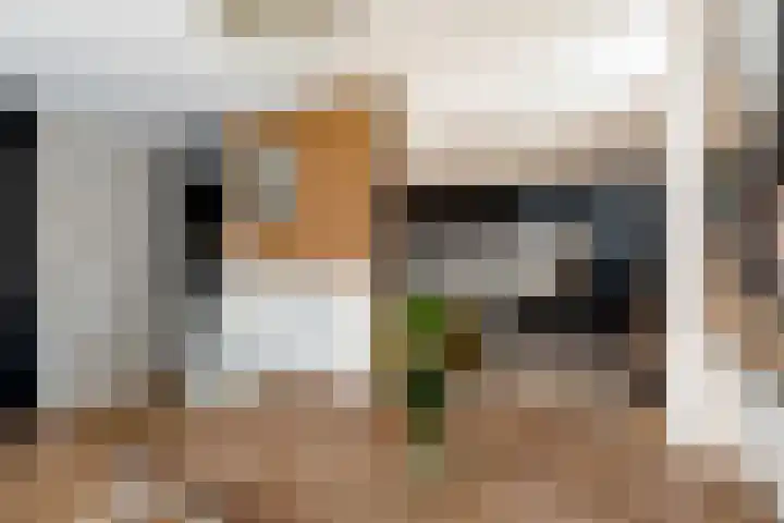 Botter 41 41 29 Lelystad thumbnail 8