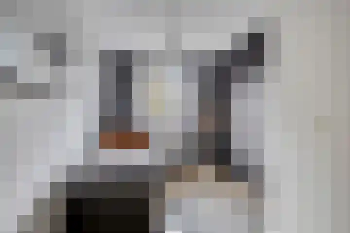 Botter 42 42 21 Lelystad thumbnail 13