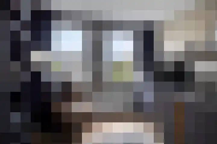 Botter 42 42 21 Lelystad thumbnail 14