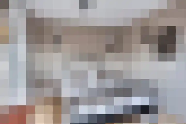 Botter 42 42 21 Lelystad thumbnail 17