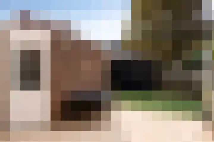 Botter 42 42 21 Lelystad thumbnail 18