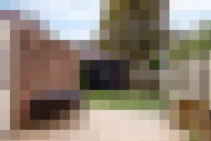 Botter 42 42 21 Lelystad thumbnail 19