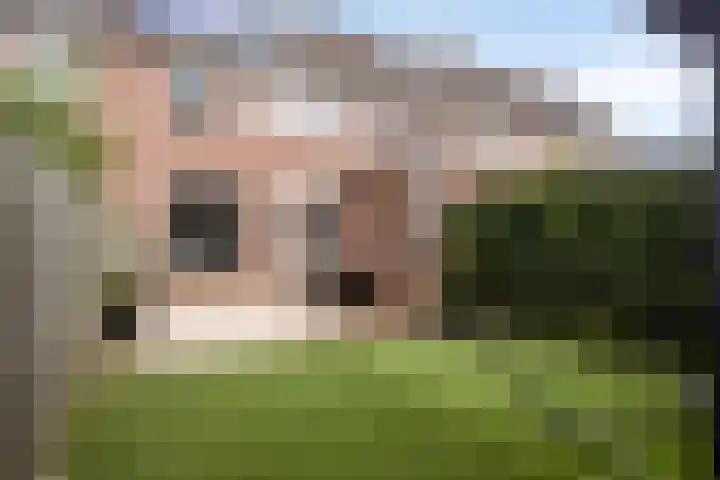 Botter 42 42 21 Lelystad thumbnail 20