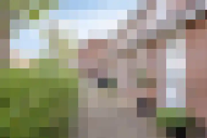Botter 42 42 21 Lelystad thumbnail 21