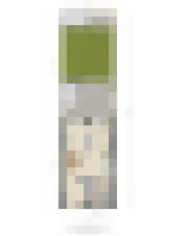 Botter 42 42 21 Lelystad thumbnail 23
