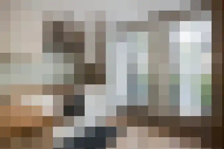 Botter 42 42 21 Lelystad thumbnail 5