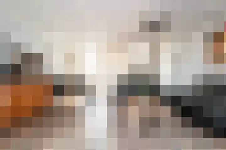 Botter 42 42 8 Lelystad thumbnail 7
