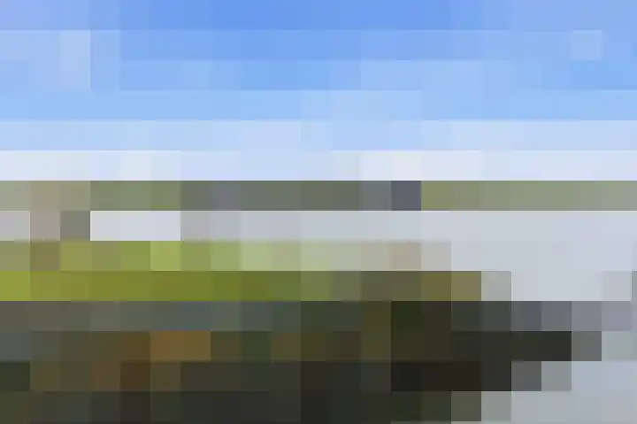 Botter 55 Alblasserdam thumbnail 12
