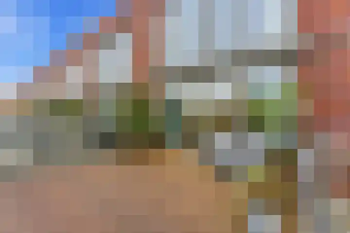 Botter 55 Alblasserdam thumbnail 13
