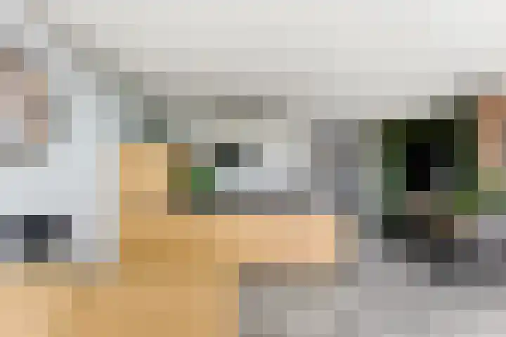 Botter 55 Alblasserdam thumbnail 18