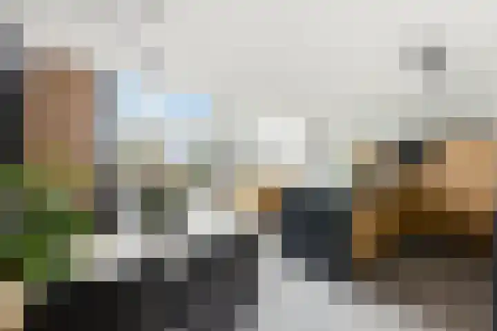 Botter 55 Alblasserdam thumbnail 24