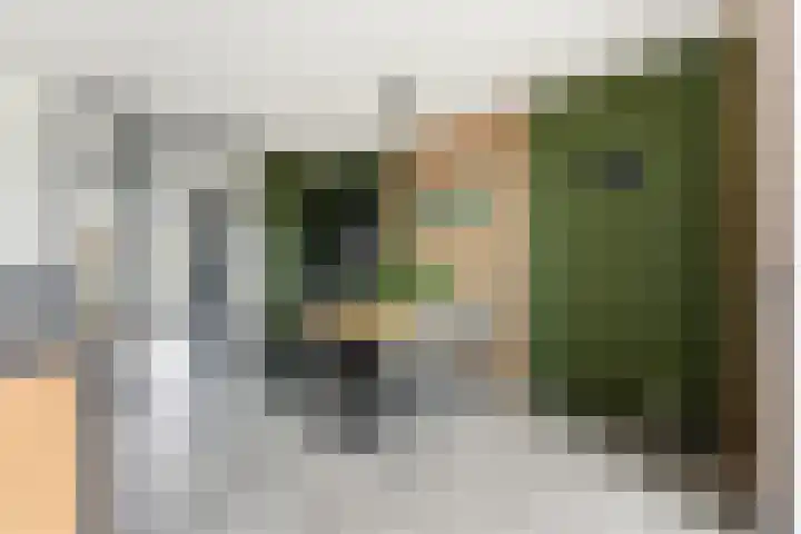 Botter 55 Alblasserdam thumbnail 28