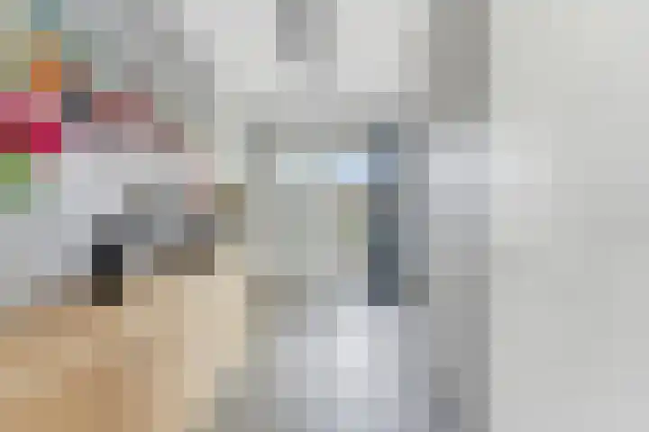 Botter 55 Alblasserdam thumbnail 30
