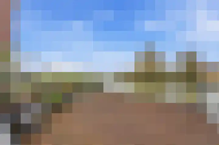 Botter 55 Alblasserdam thumbnail 4