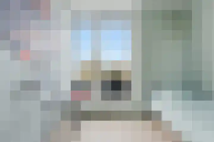 Botter 55 Alblasserdam thumbnail 50