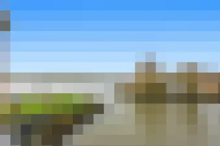 Botter 55 Alblasserdam thumbnail 61