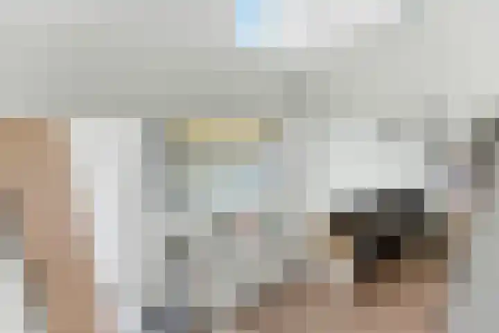 Botter 55 Alblasserdam thumbnail 63