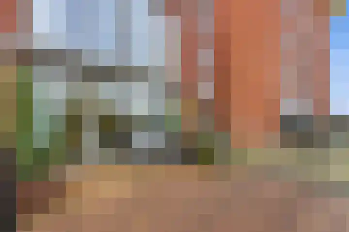 Botter 55 Alblasserdam thumbnail 66