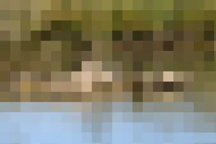 Botter 55 Alblasserdam thumbnail 75