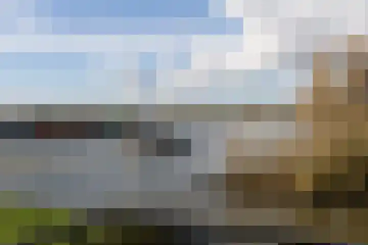 Botter 55 Alblasserdam thumbnail 77
