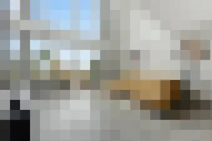 Botter 55 Alblasserdam thumbnail 9